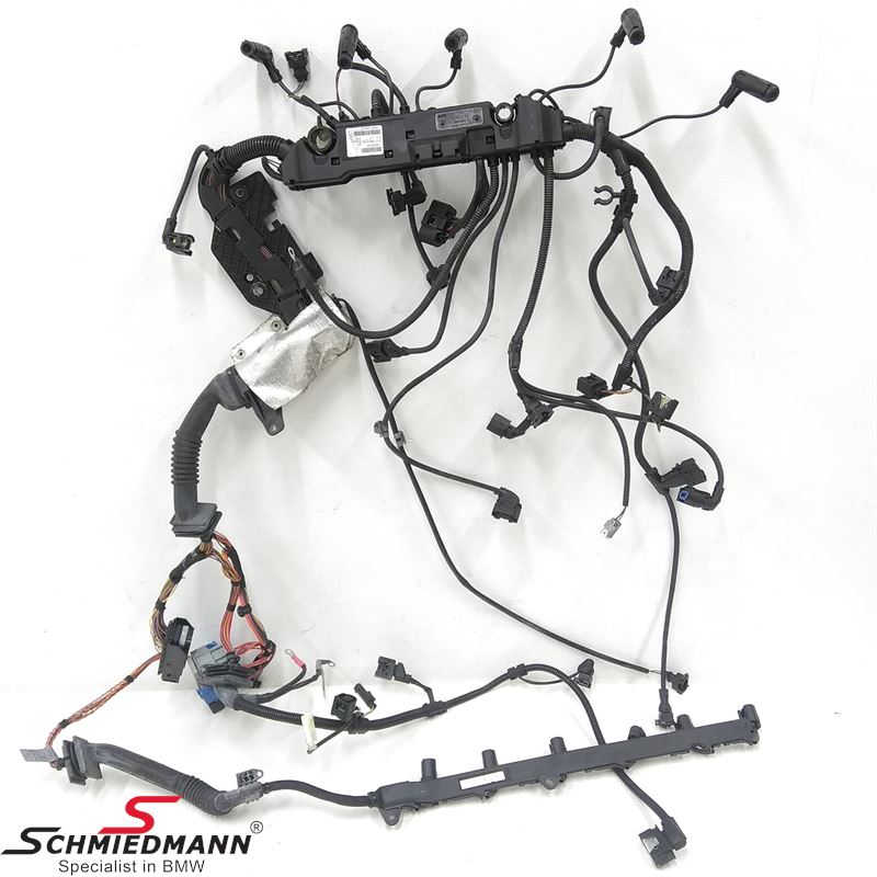 Engine harness with manual gear - with 0842 Cold-climate version