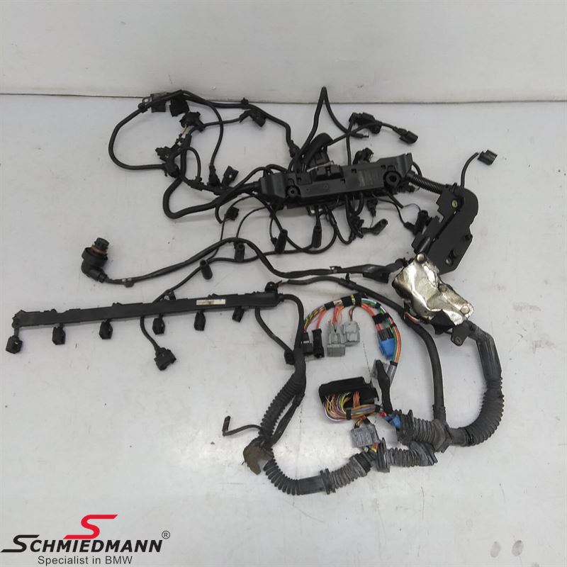 Engine Wiring Harness 