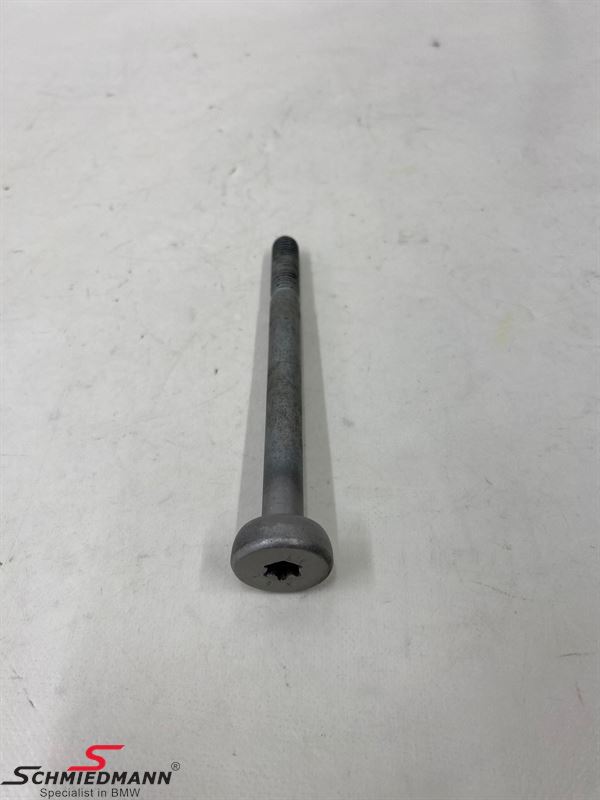 Screw for bumper carrier