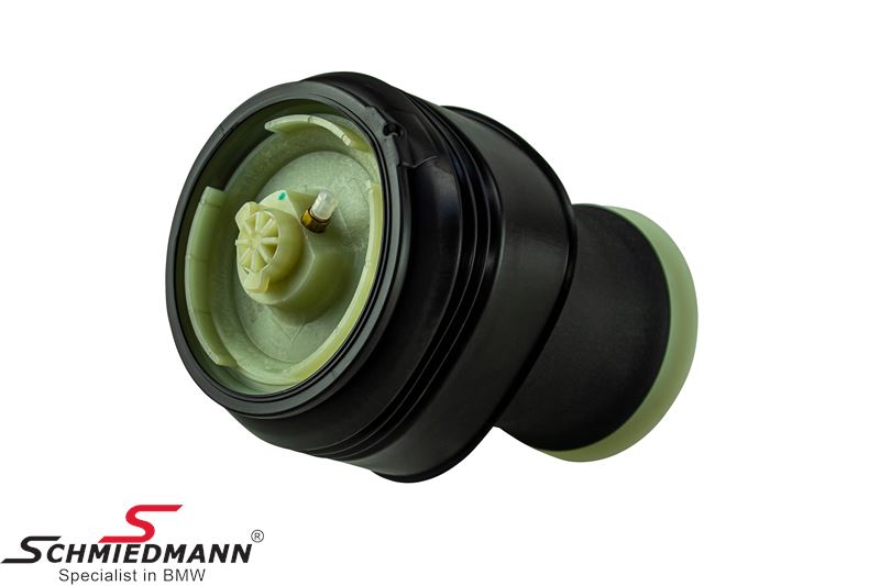 Pneumatic spring rear