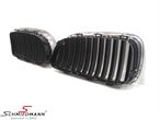 A65850 51137203649 51 13 7 203 649 7203649 BMW F10 -  Kidney set Chrome