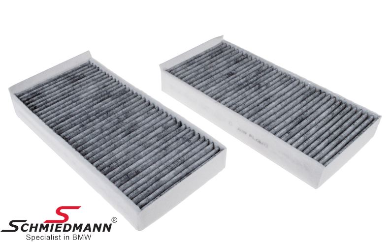 Microfilter activated carbon container