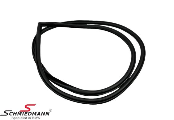 Door weatherstrip - left side