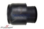 Pneumatic spring rear 