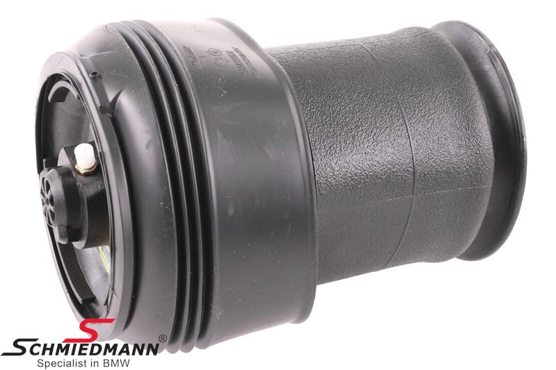 Pneumatic spring rear 