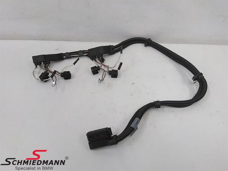 Wiring harness, ignition 