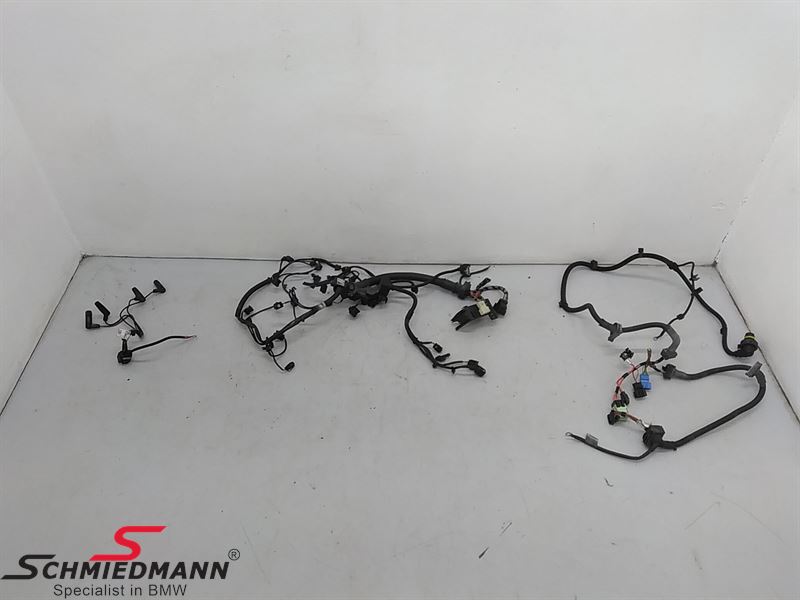 Engine Wiring Harness 
