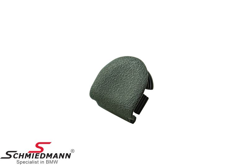 Covering cap for door trim panel, silver grey