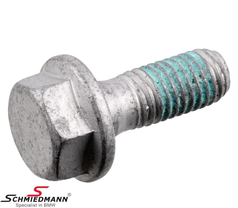 Bolt for brake caliper - M10x26.5