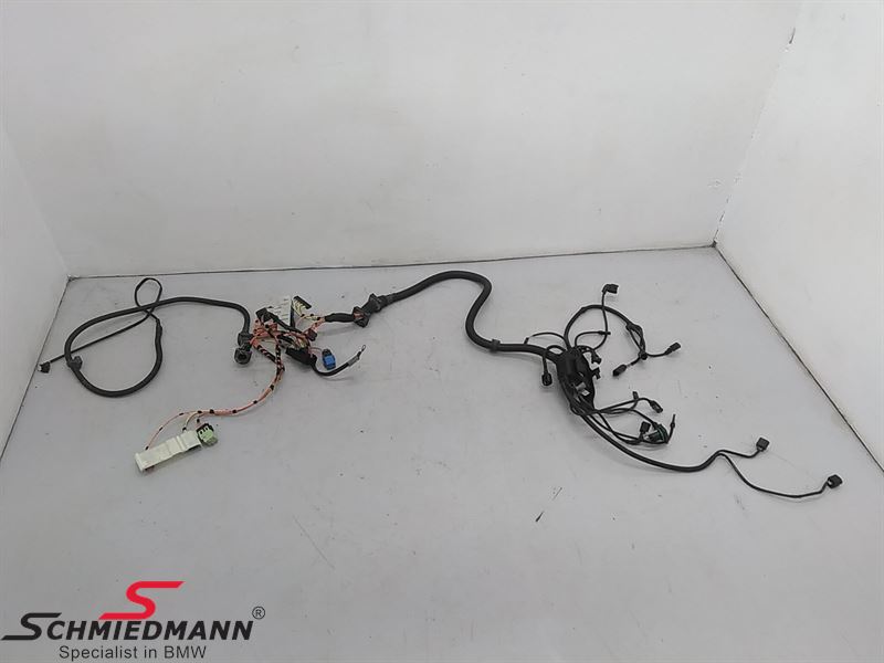Engine Wiring Harness 