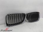 A65994 51137200167 51 13 7 200 167 7200167 BMW F07 GT -  Kidneyset original BMW