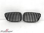 A65994 51137200167 51 13 7 200 167 7200167 BMW F07 GT -  Kidneyset original BMW