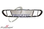 Center mesh frontbumper  