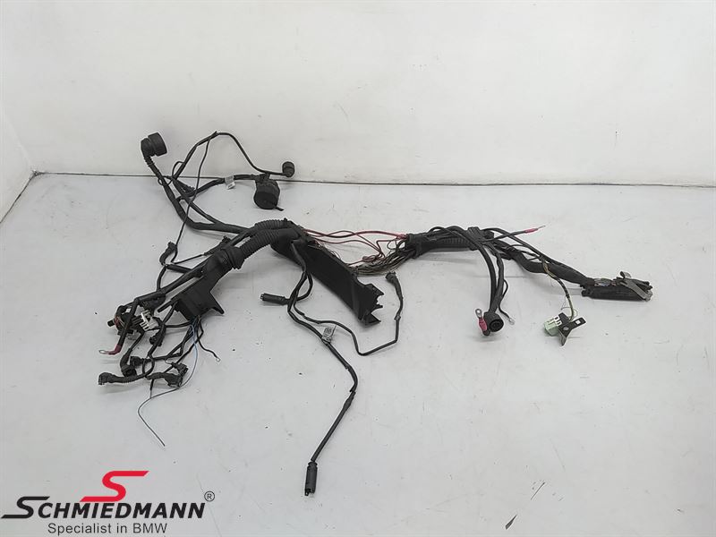 Engine Wiring Harness 318is M44