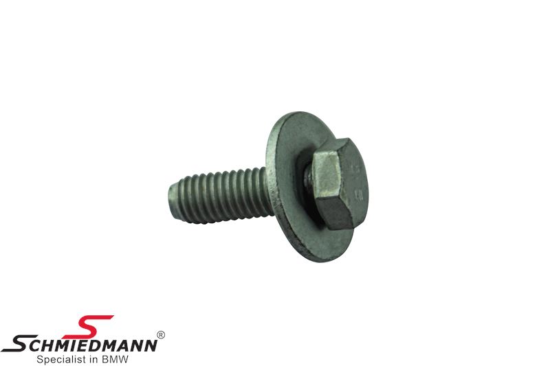 Bolt with washer (M8x25)