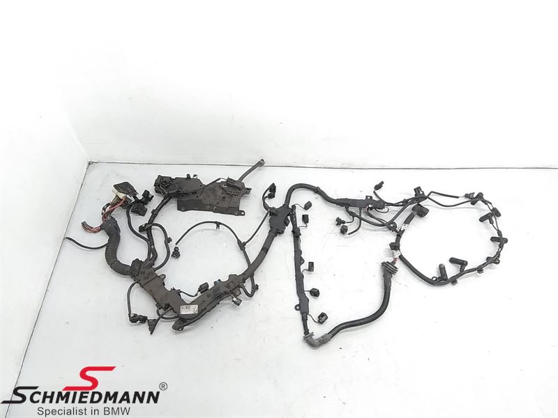 Engine Wiring Harness 