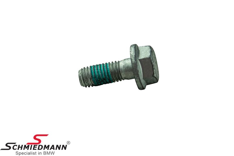 Bolt for brake caliper - M10x26.5