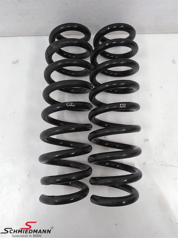 Springset Rear
