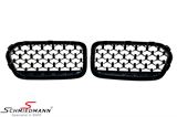 NSF39GBDIA BMW X2 (F39) -  Kidney set - high gloss black, diamond grill