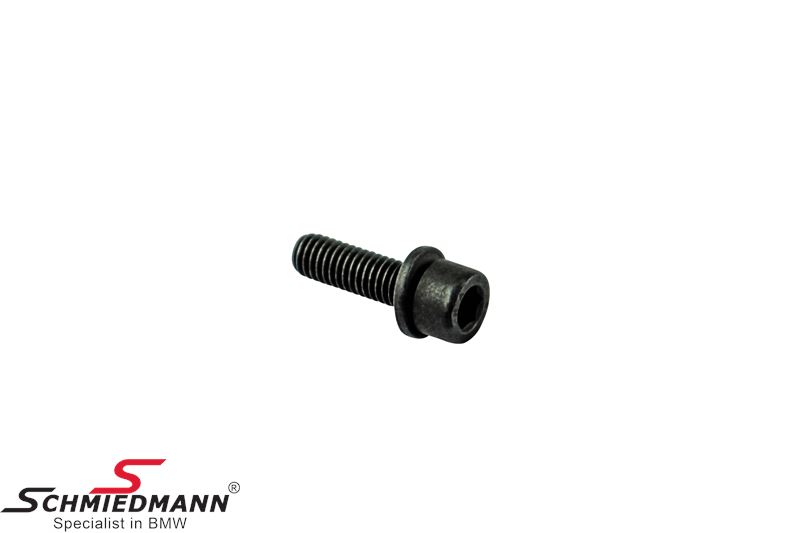 Screw with washer M6X20-Z1 SW