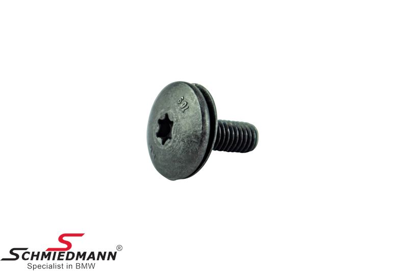 Torx screw with washer
