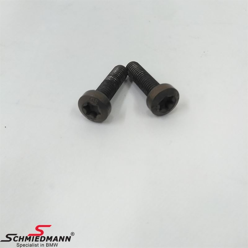 Torx screw M8X28 2PCS