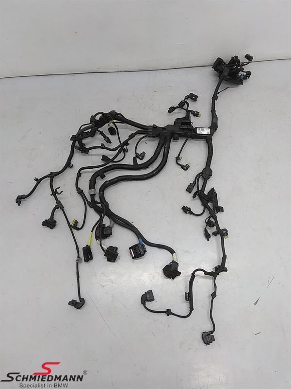 Engine Wiring Harness
