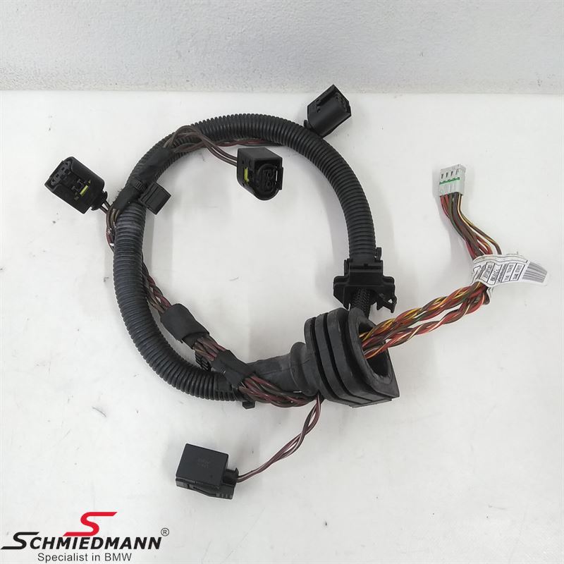 Wiring harness, engine, injector module