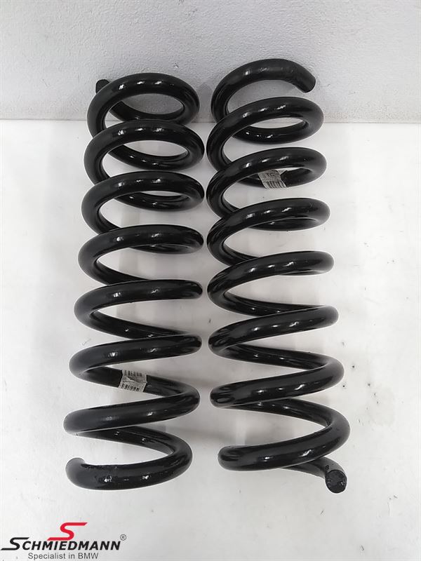 Spring rear set 2pcs
