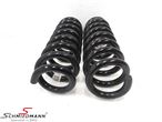E14107 33536898643 33 53 6 898 643 6898643 BMW G21 -  Spring rear set 2pcs