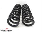 E14107 33536898643 33 53 6 898 643 6898643 BMW G21 -  Spring rear set 2pcs