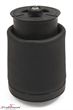 37121094614 37121094614 37 12 1 094 614 1094614  Pneumatic spring for models with leveling device R.- side