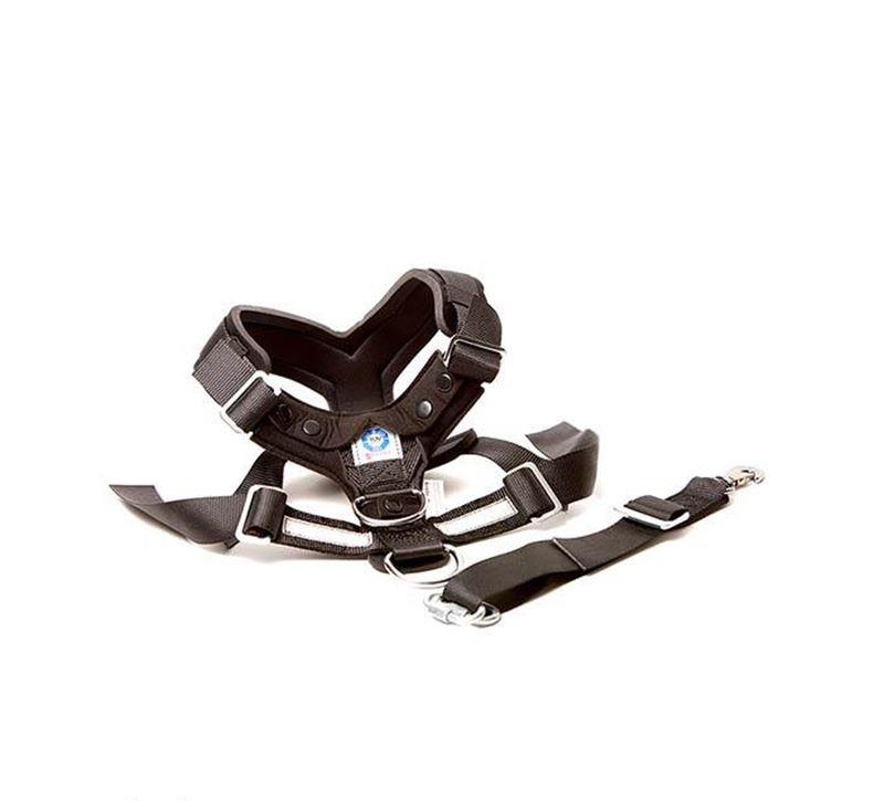 AllSafe hundsele - Extra Large HUNDSELMMASXL