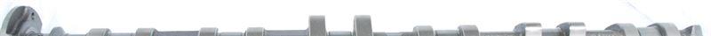 SCHRICK Avgas Sportkamaxel - dubbel VANOS 256° 0261A1561-DV0 BMW E46 E65 E39 E60 E66 Z3 Z4 E85 X3 (E83) E61